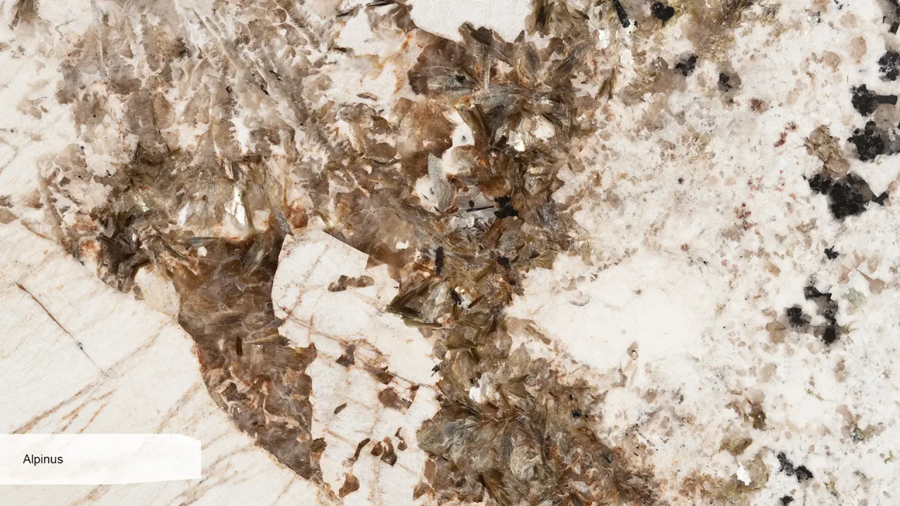 Scalla Naturale Alpinus в інтер'єрі