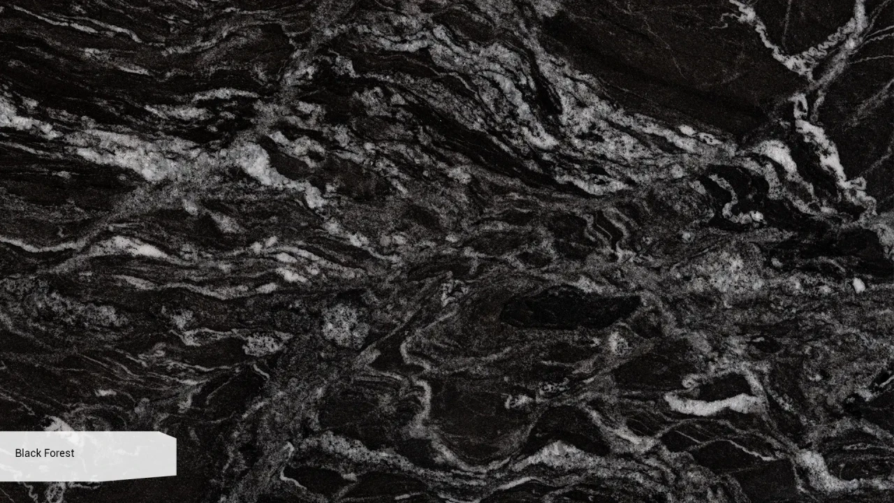 Scalla Naturale Black Forest