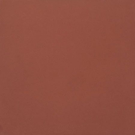Unicolore ROSSO MATTONE 20 x 20