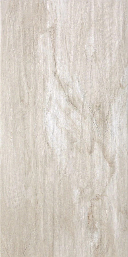 ULIVO PANNA 20 x 120