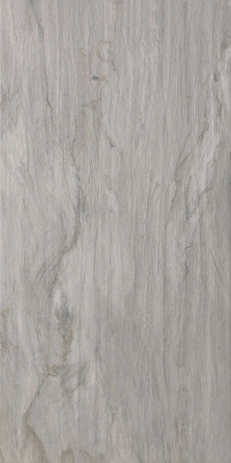 ULIVO TORTORA 60 x 120
