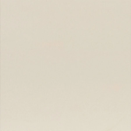 EARTH BIANCO 30 x 120