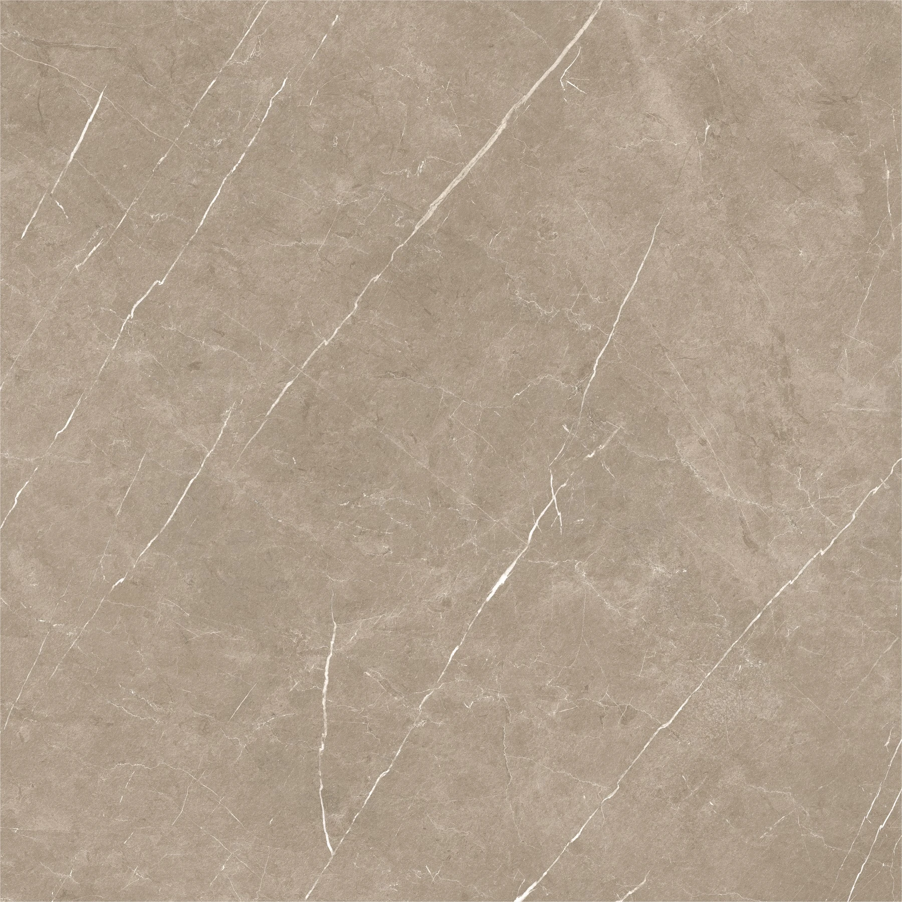 ETERNAL TAUPE NATURAL 120*120*9.5mm