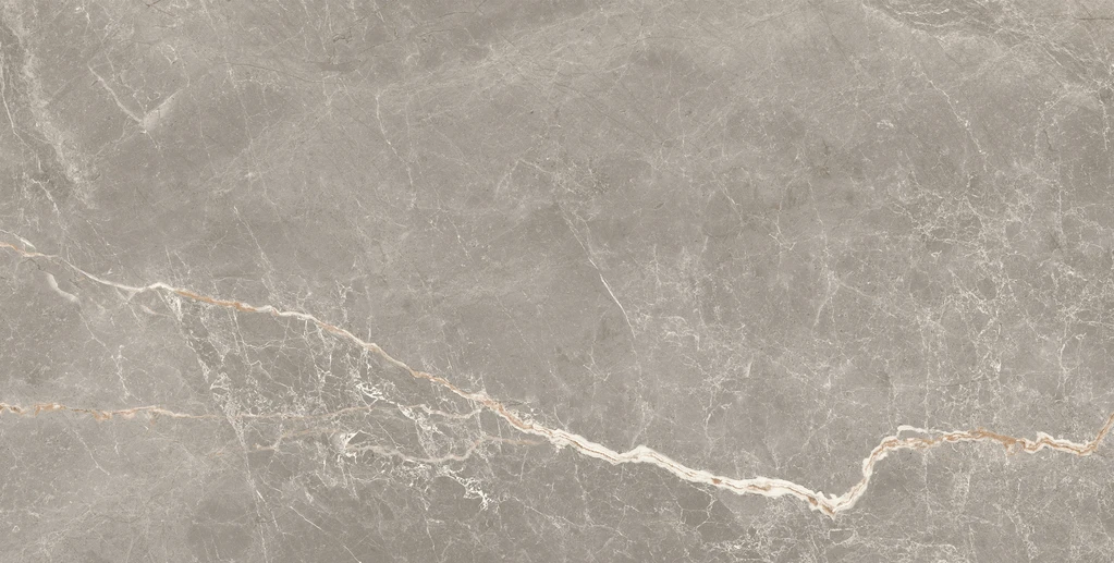 LIVIA MOKA SILK 60*120*9mm
