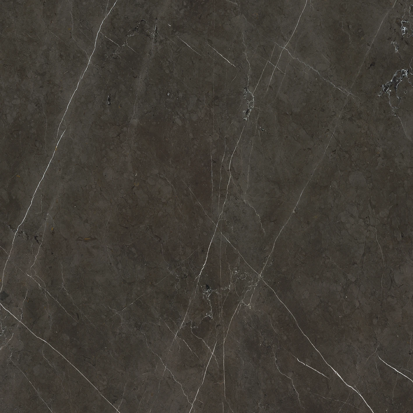 ANIMA GRAPHITE 60X60 9 mm Матова