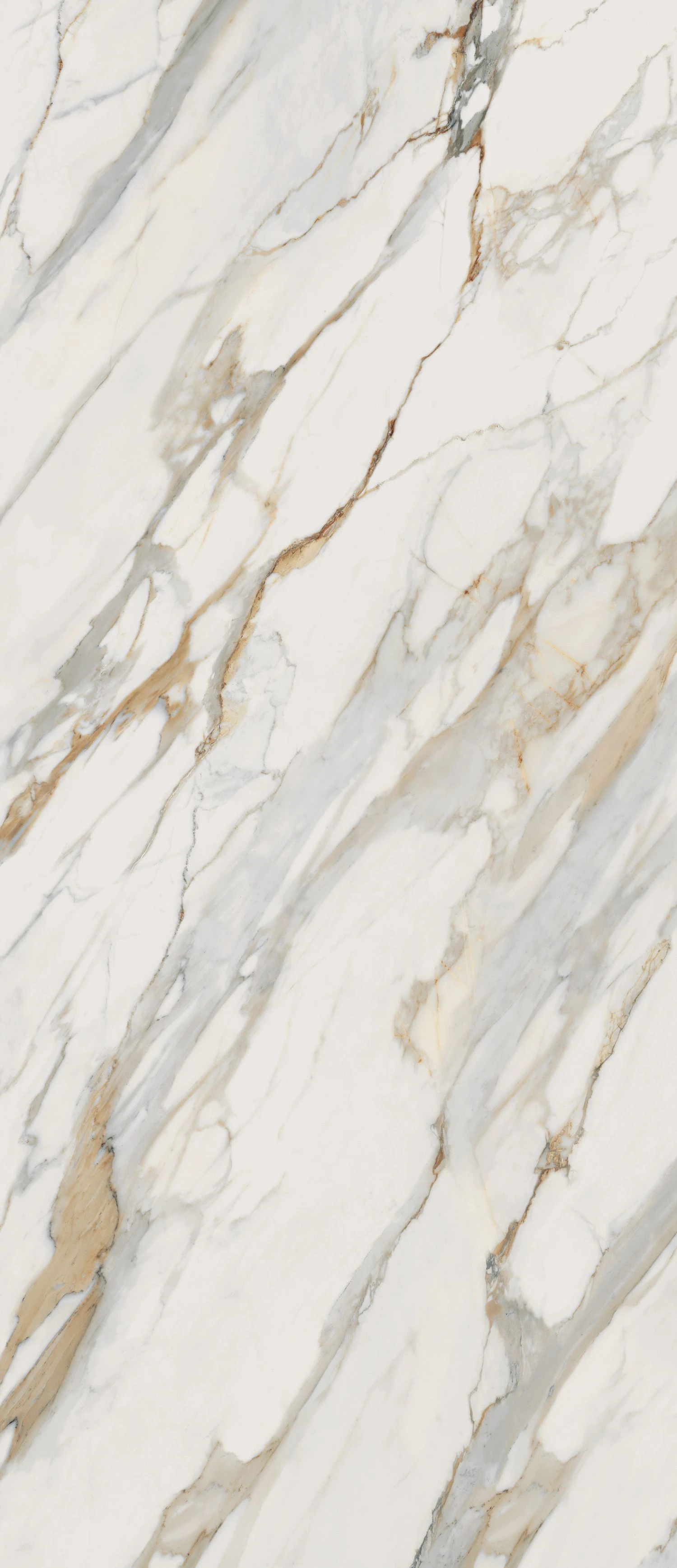 VENATO GOLD Perpetual 120x278 6 mm Матова
