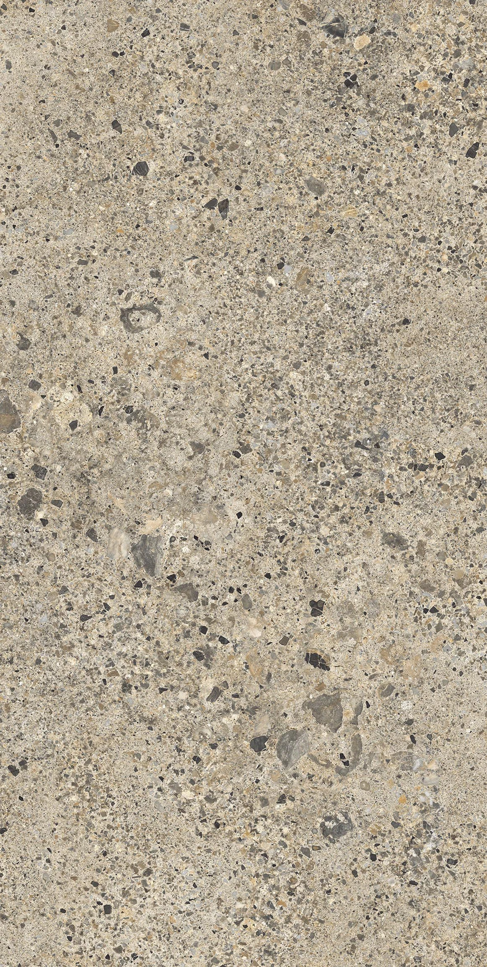 Ceppo Romano 163*324 12мм Mat