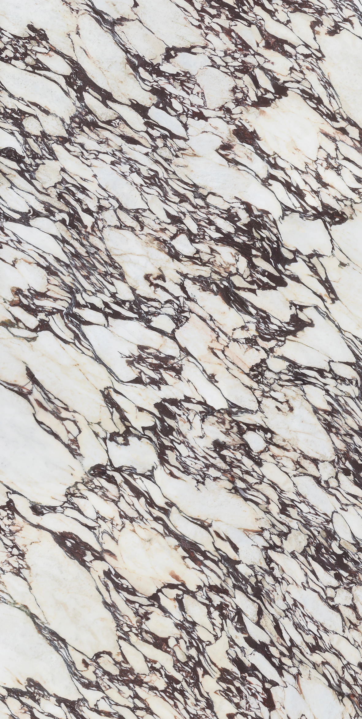 Calacatta Viola 160x320 6мм Pol