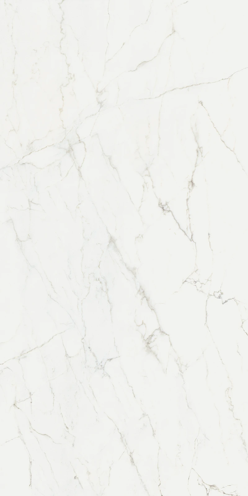 Calacatta Glory 160x320 6мм Pol