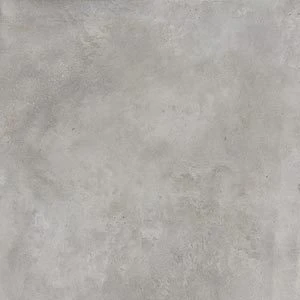 Emotion Gris 60*120