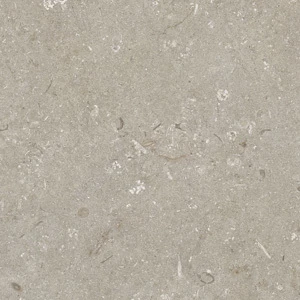 Shellstone Taupe 60*60