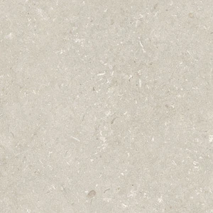 Shellstone Beige 60*60