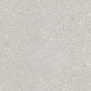 Shellstone Bianco 60*60