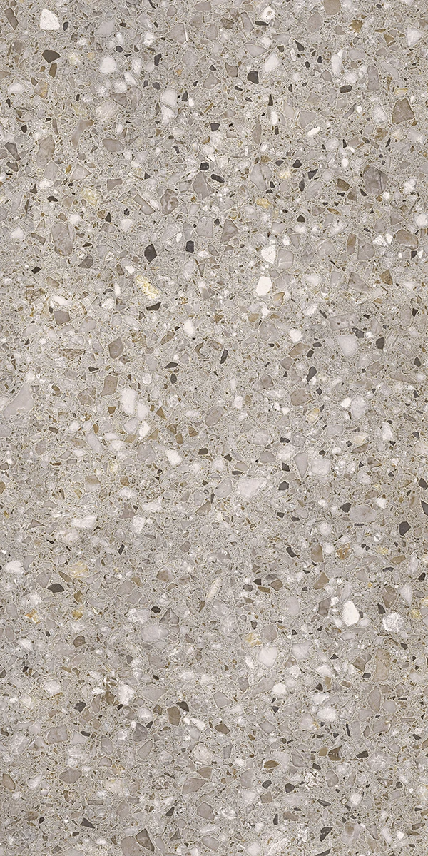 FRAMMENTA TAUPE POLISHED 59*117*9mm