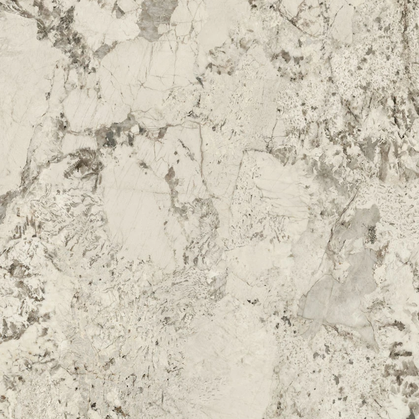 ANIMA WONDER Glacier 120X120 9 mm Матова