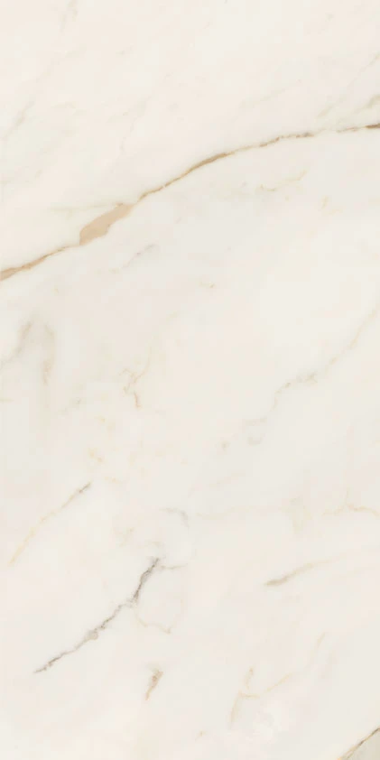 ANIMA FUTURA Golden White 60X120 9 mm Матова