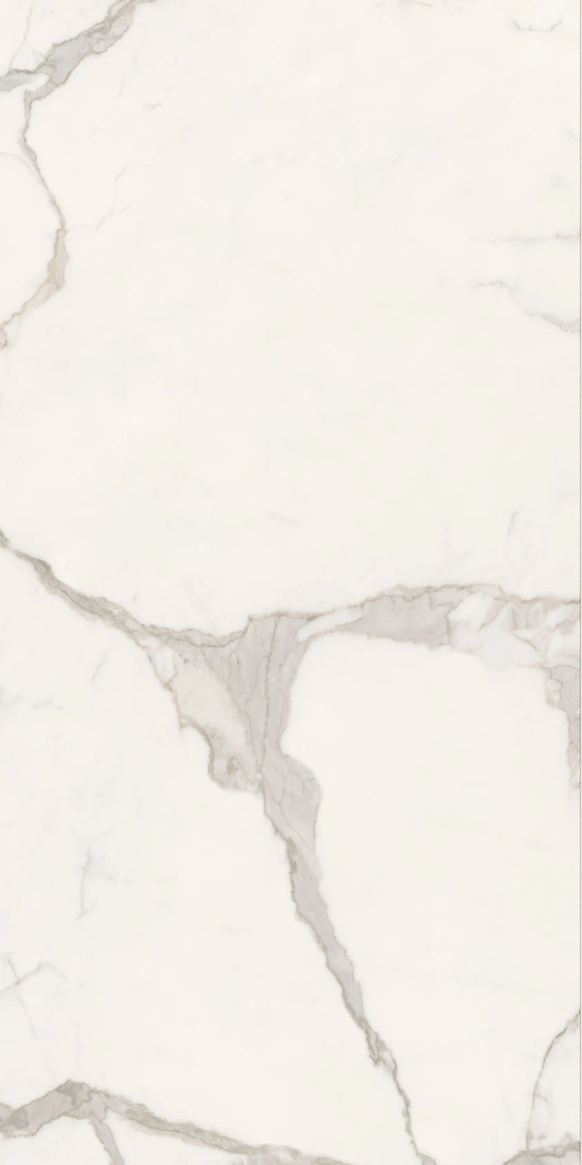 ANIMA FUTURA Majestic White 60X120 9 mm Матова