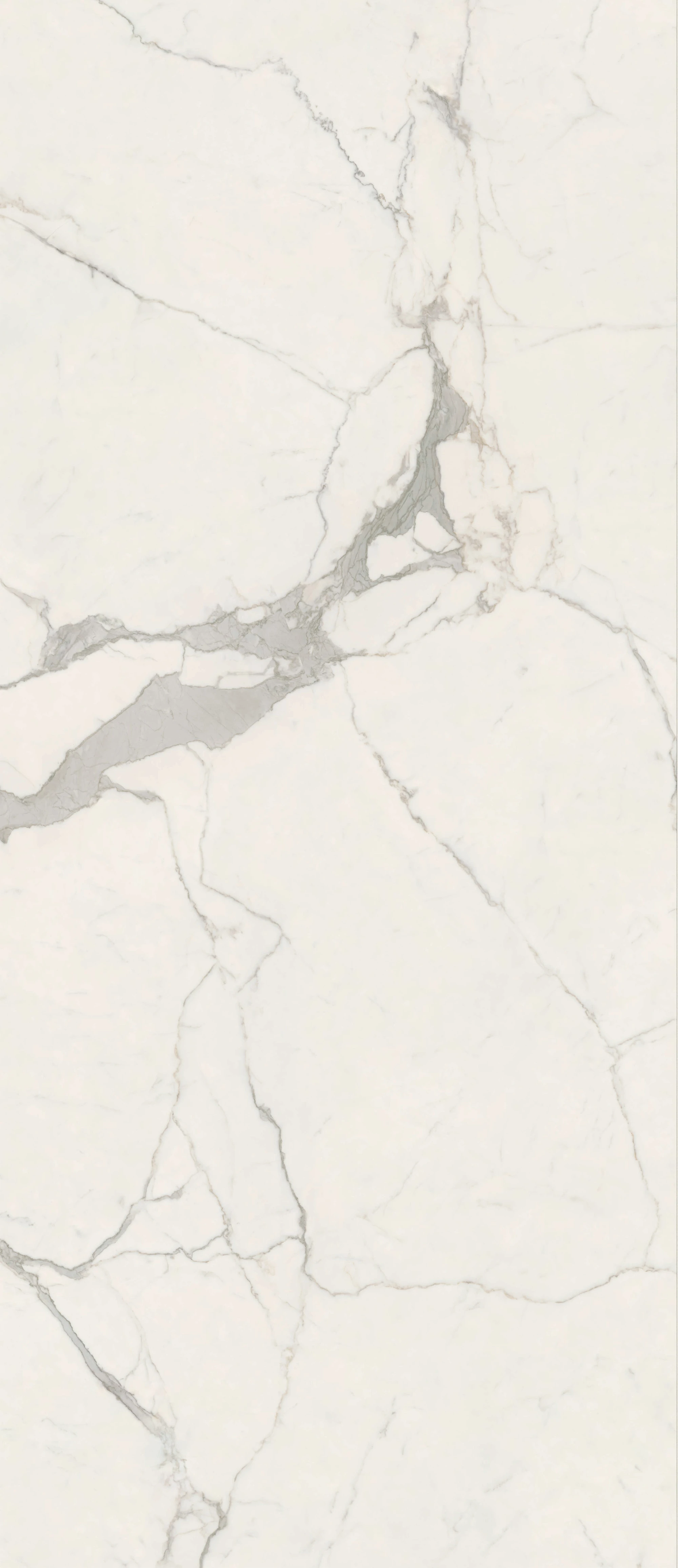 ANIMA FUTURA Majestic White 120X278 6 mm Полірована