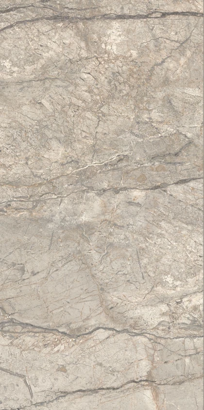 ANIMA FUTURA Amazing Silver 60X120 9 mm Полірована