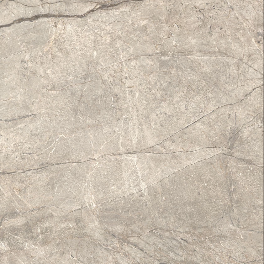 ANIMA FUTURA Amazing Silver 120X120 9 mm Полірована