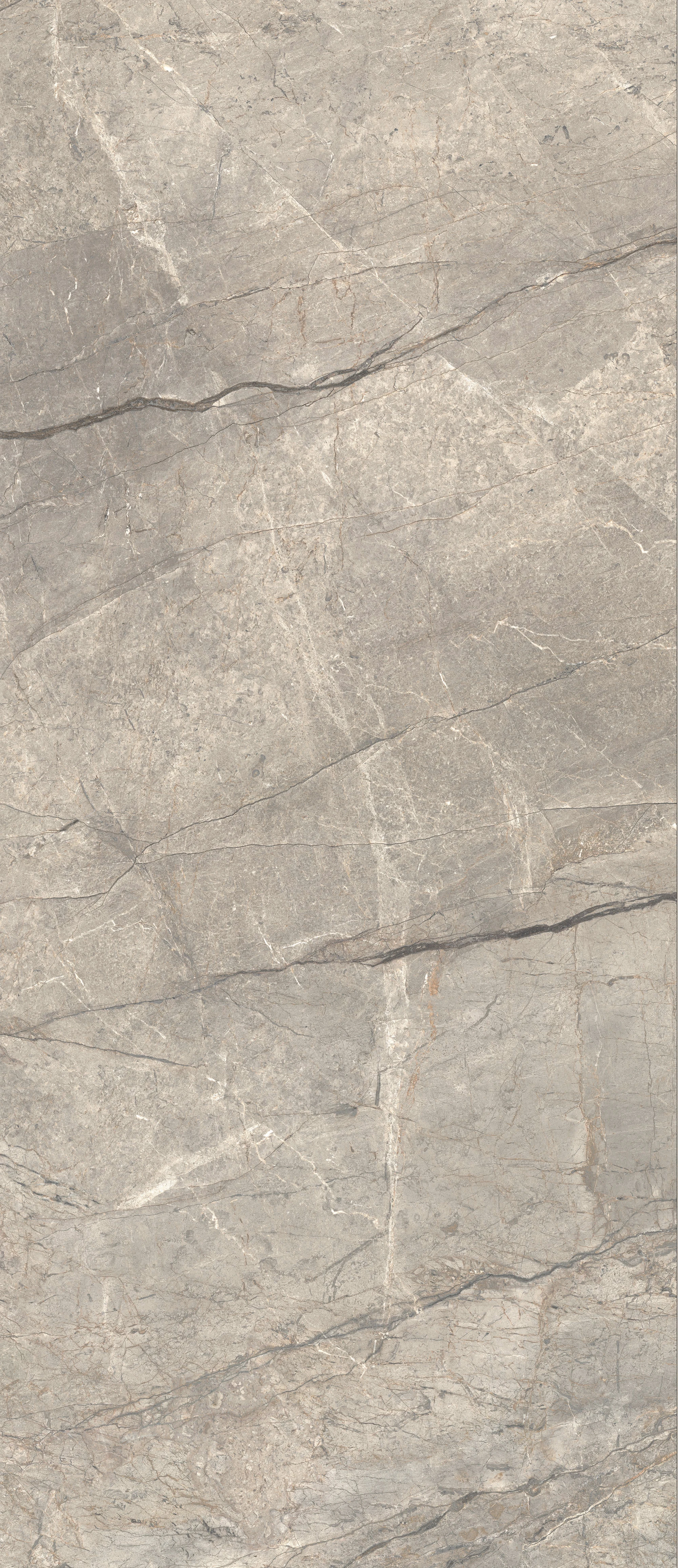 ANIMA FUTURA Amazing Silver 120X278 6 mm Полірована