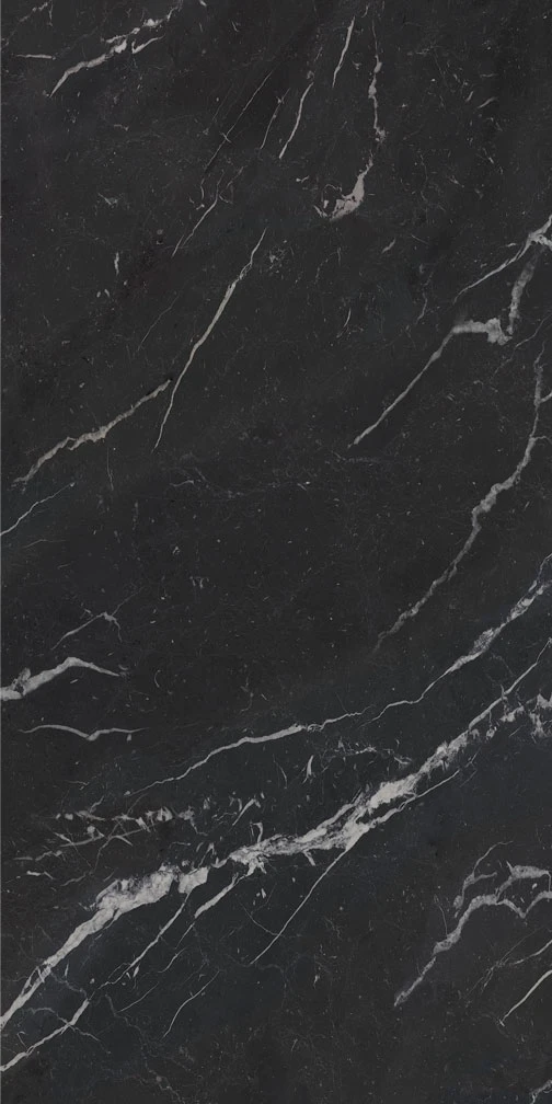 ANIMA FUTURA Unique Black 60X120 9 mm Полірована