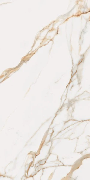 Calacatta Gold Calacatta Gold 60X120 9 mm