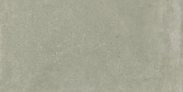 City Stone Salvia 60X120 9 mm