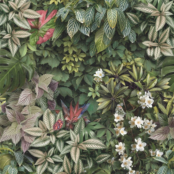 Decors Forest 60X120 9 mm
