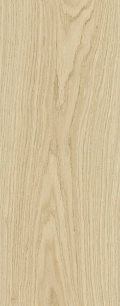 Montalcino ROVERE Paglierino 60X120 9 mm