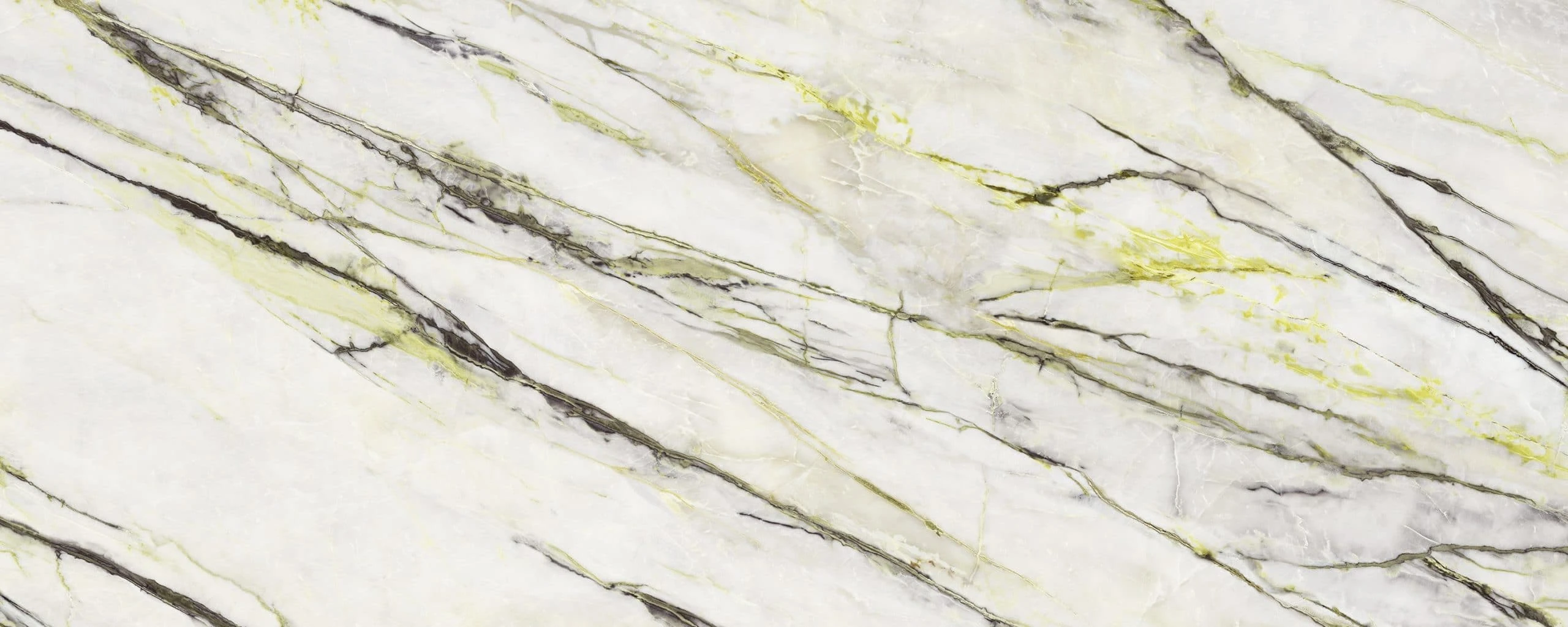 Calacatta Green Calacatta Green Polished 6 mm 120X300
