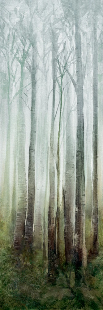WONDERWALL DREAM C 3PLUS 3000X1000X3,5