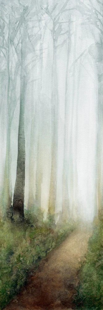 WONDERWALL DREAM B 3PLUS 3000X1000X3,5