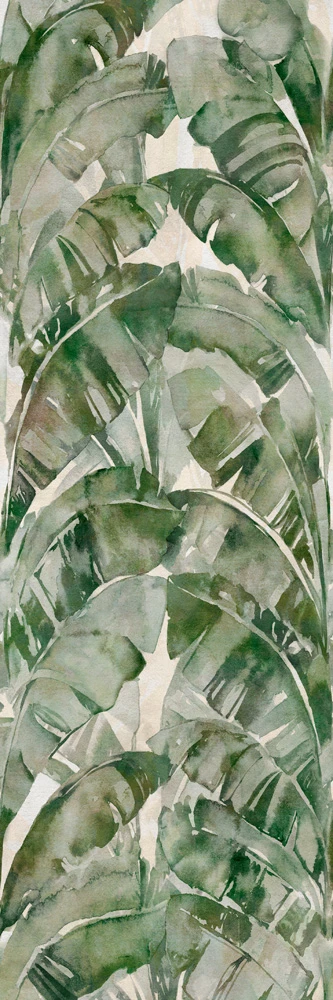 WONDERWALL JUNGLE B 3PLUS 3000X1000X3,5