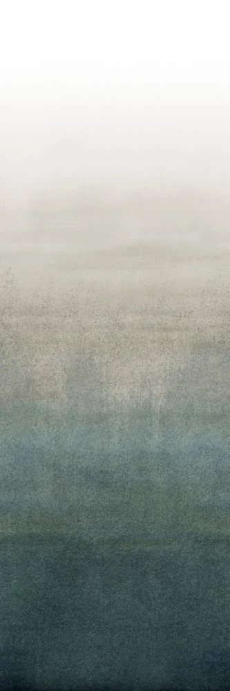 WONDERWALL COLOR BALLET A 3PLUS 3000X1000