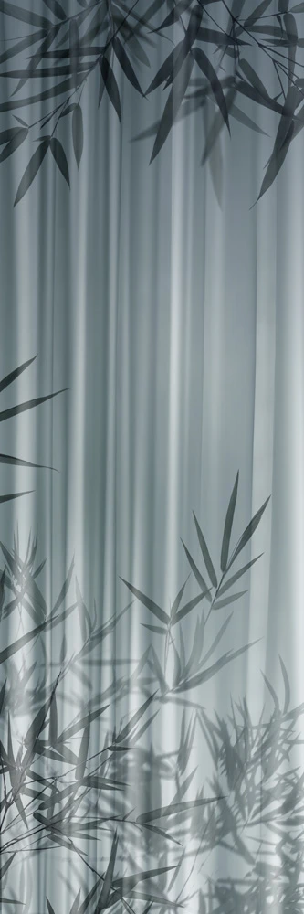 WONDERWALL BAMBOO C 3PLUS 3000X1000X3,5