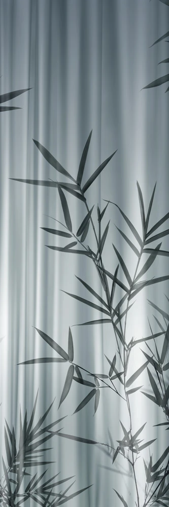 WONDERWALL BAMBOO B 3PLUS 3000X1000X3,5