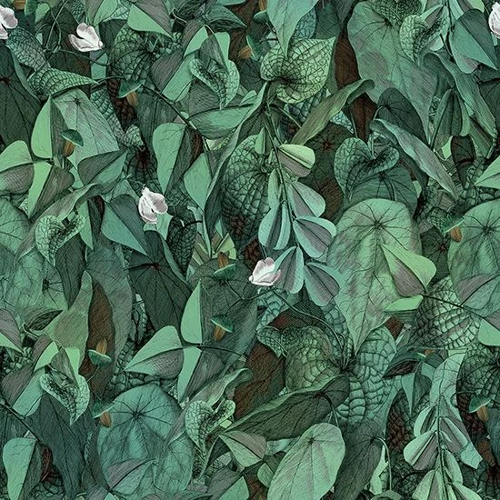 WONDERWALL PRINTEMPS 3PLUS 3000X1000X3,5