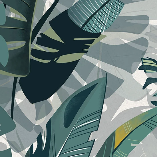 WONDERWALL BOTANY A+B 3PLUS 500X1000