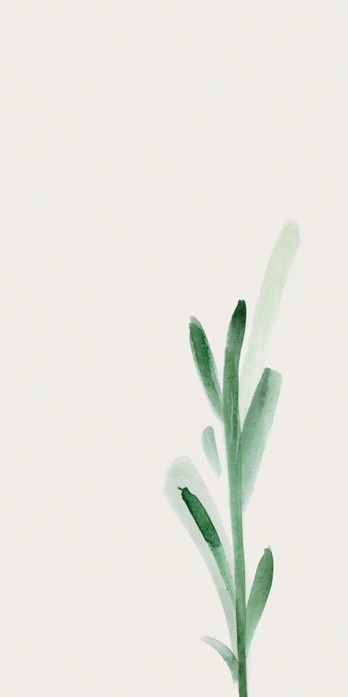 WONDERWALL FLEUR E 3PLUS 500X1000