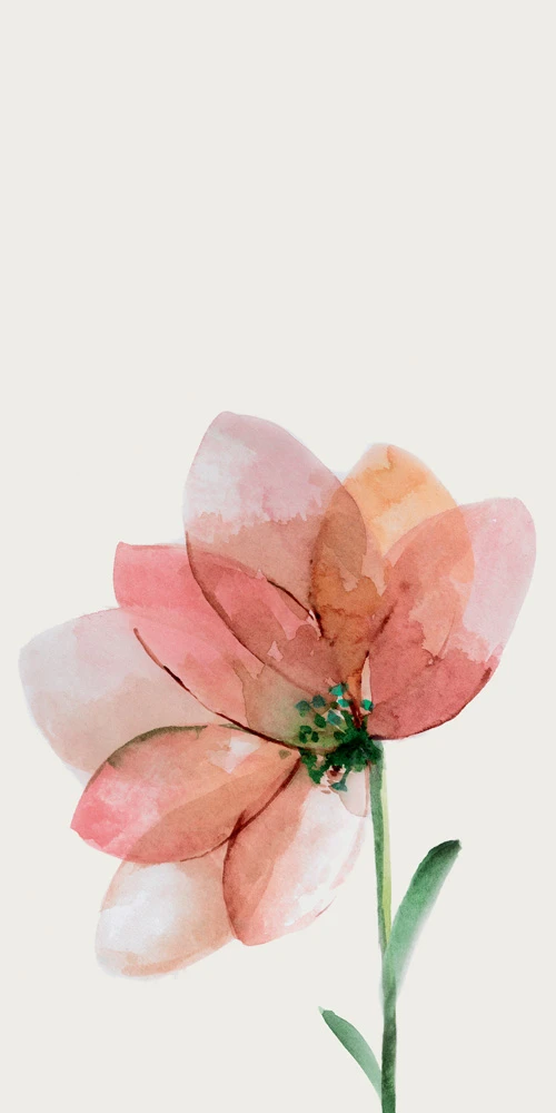 WONDERWALL FLEUR D 3PLUS 500X1000