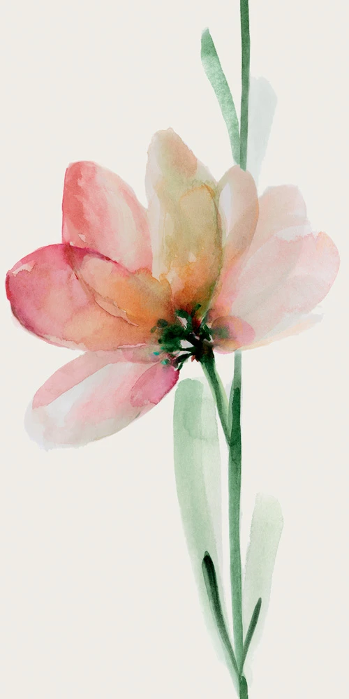 WONDERWALL FLEUR B 3PLUS 500X1000
