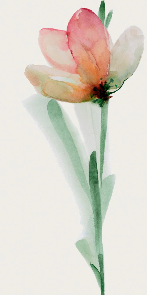 WONDERWALL FLEUR A 3PLUS 500X1000
