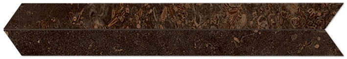 Planeto JUPITER 10X60 chevron 10 mm