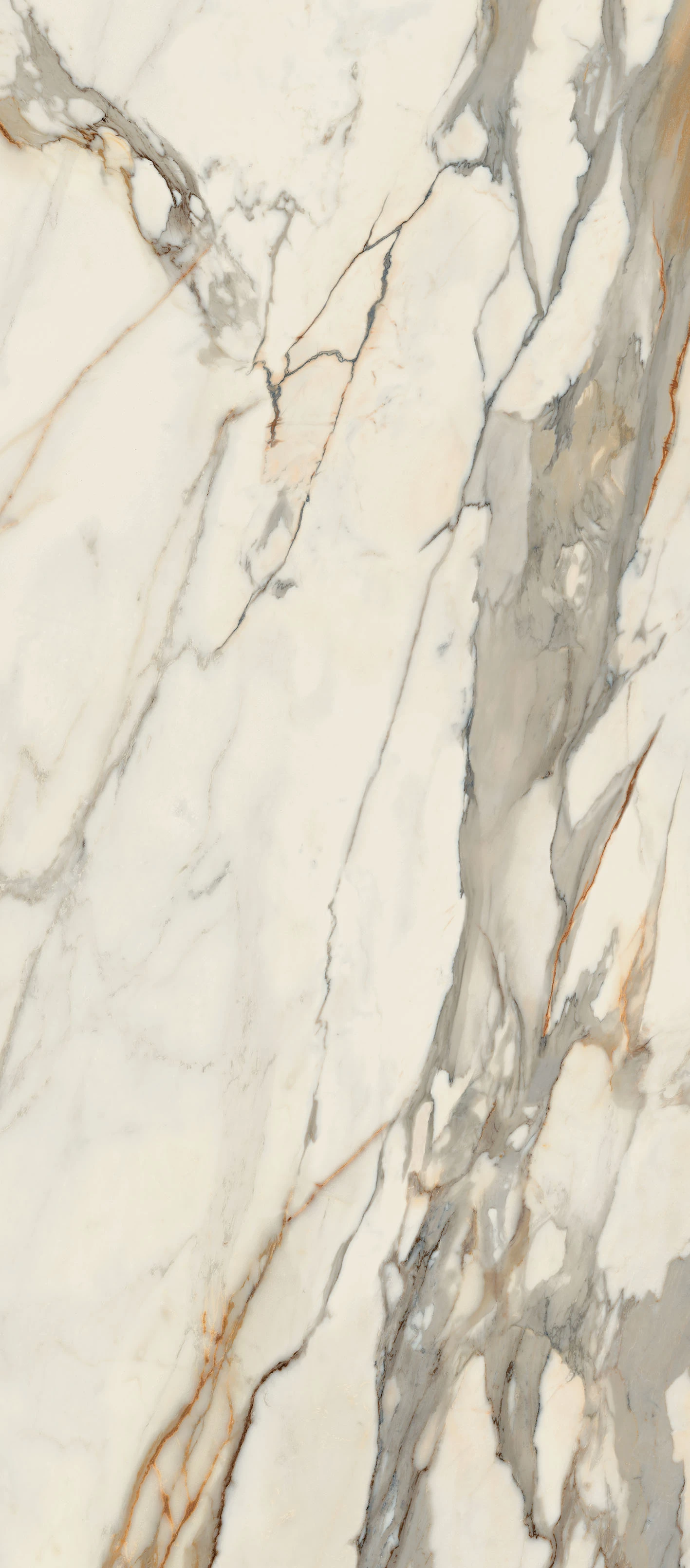Infinito 2.0 CALACATTA MACCHIA VECCHIA GLOSSY 120X278 6,5 mm