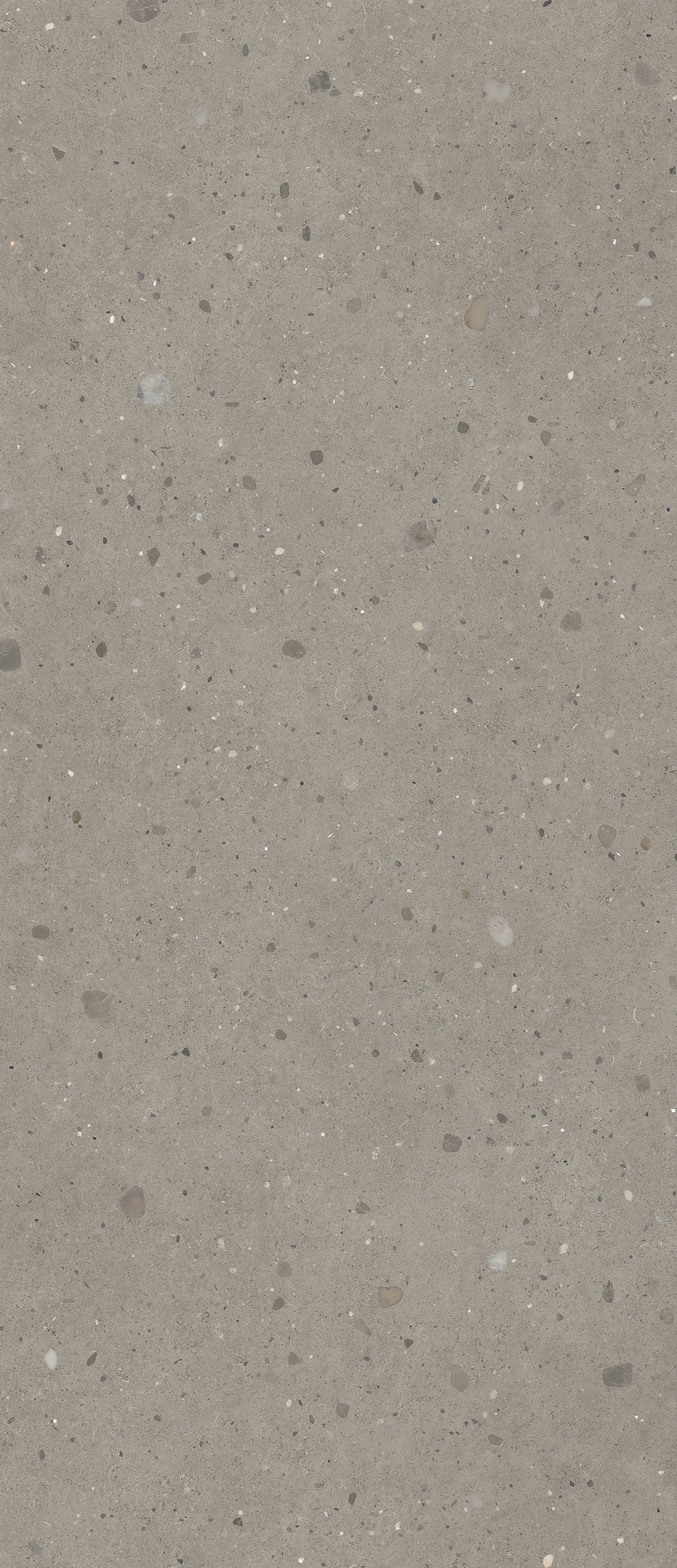 Keynote COOL GREY 120X278 6,5 mm