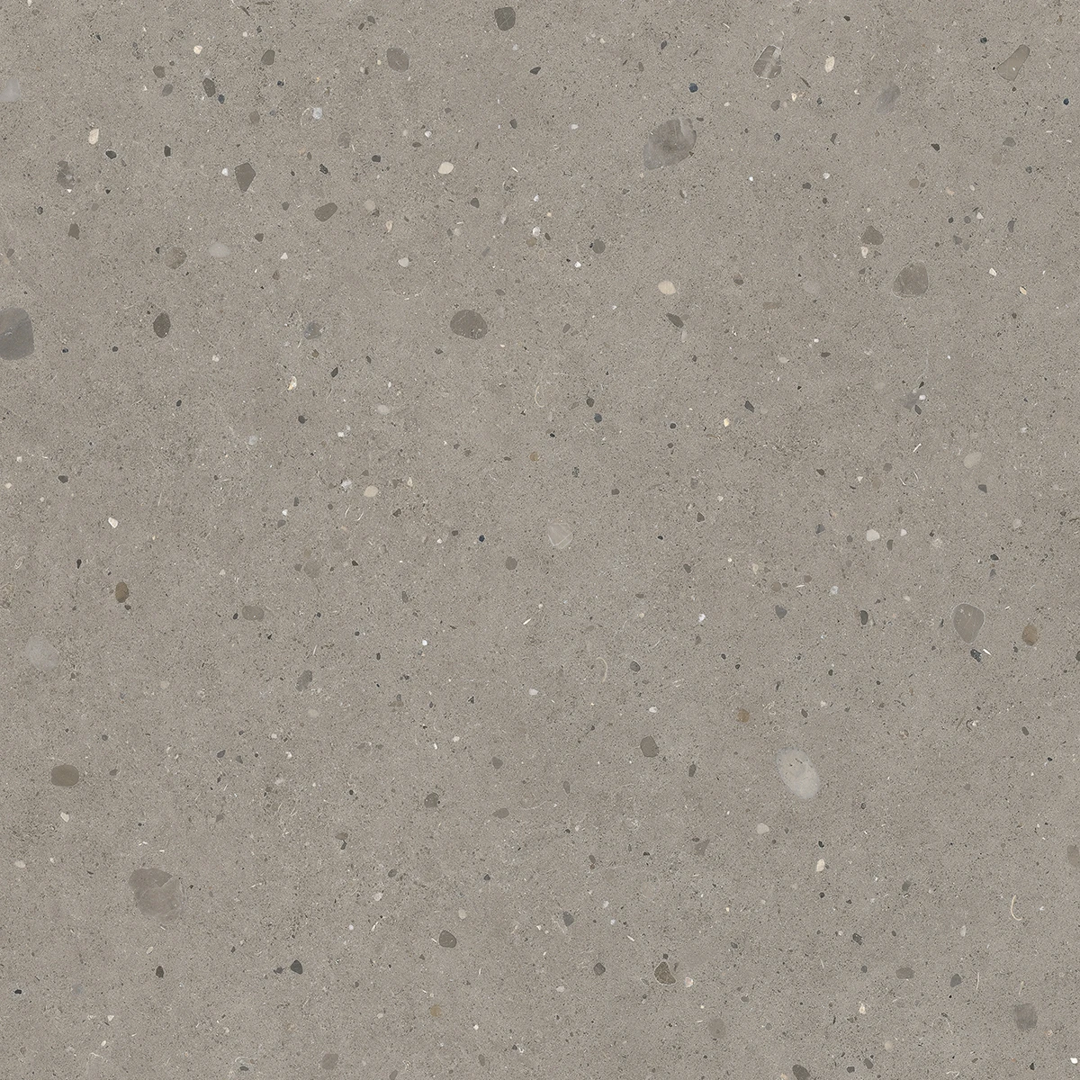 Keynote COOL GREY 120x120 6,5 mm