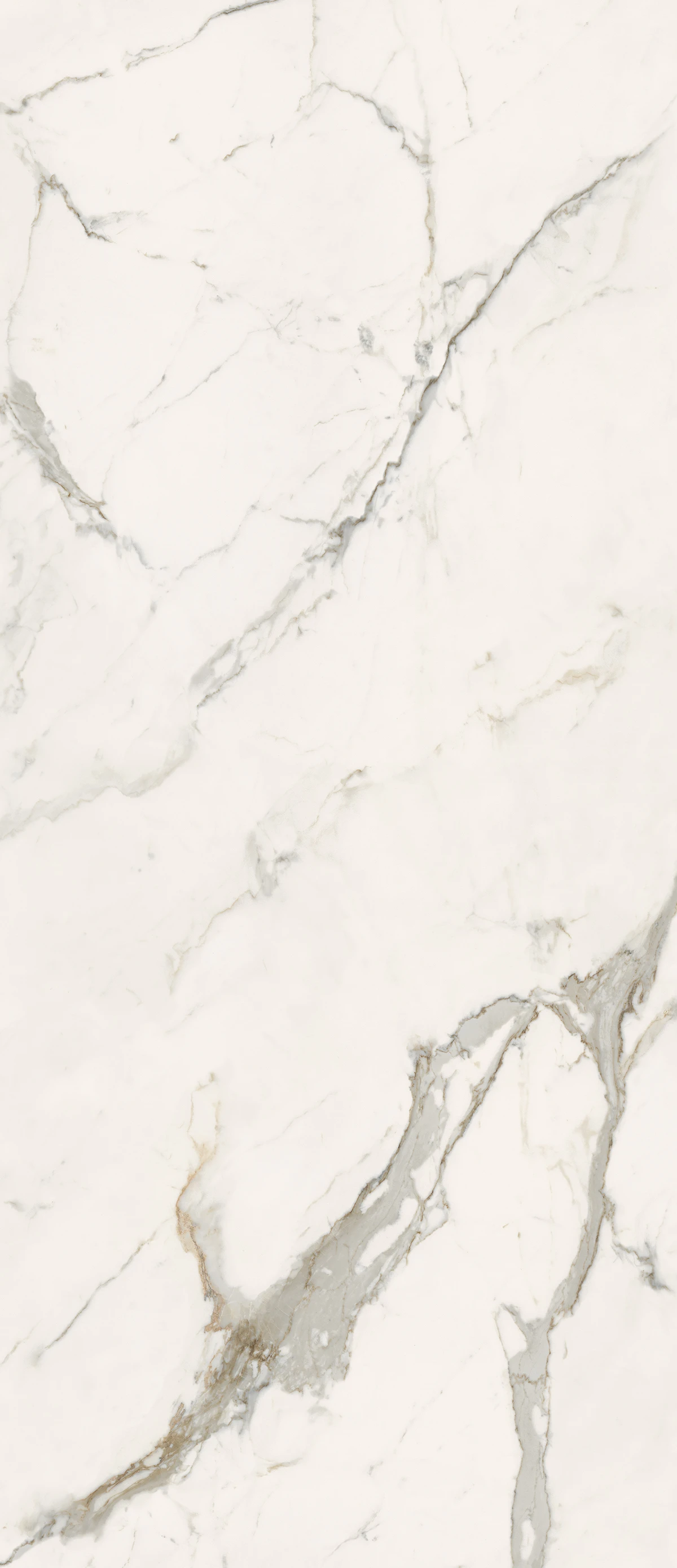 Infinito 2.0 CALACATTA LIGHT HONED 120X278 6,5 mm