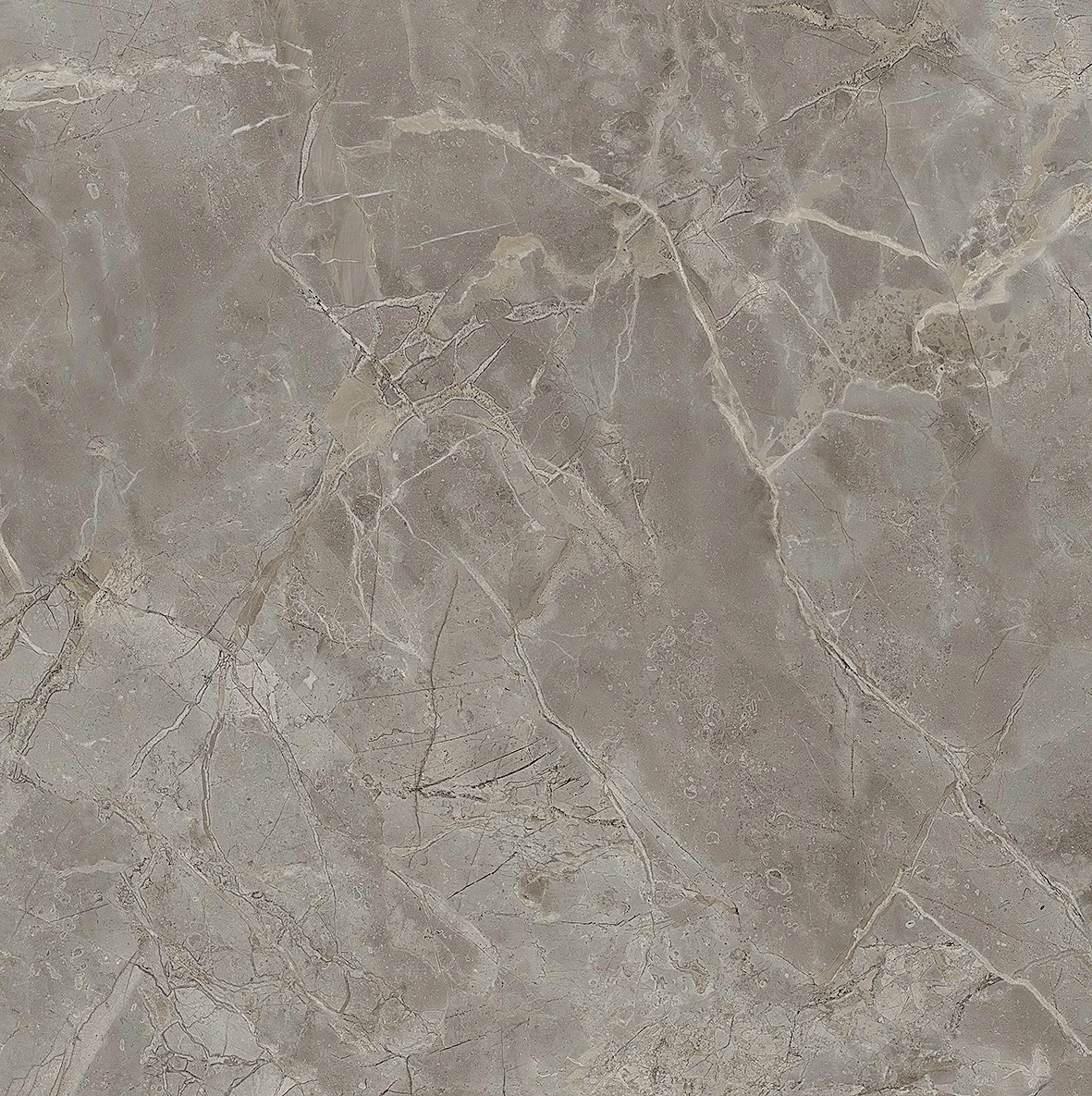 Infinito 2.0 FIOR DI BOSCO GLOSSY 120x120 6,5 mm