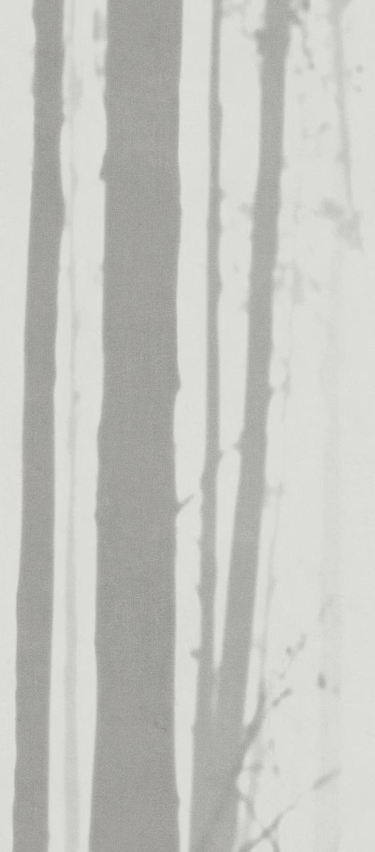 Dream LIGHT SIDE 120x278 6,5 mm